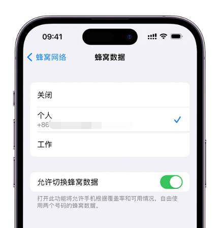 林西苹果维修服务分享如何在iPhone上使用双卡 